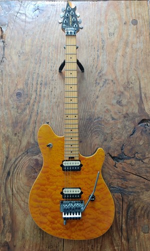 Evh peavey wolfgang special - evh,