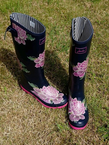 Joules women tall height - joules,