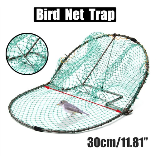 Catching bird trap - catching,