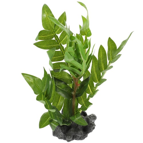 Reptile tank plants for - reptile,