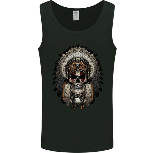 Native american indian skull - native,