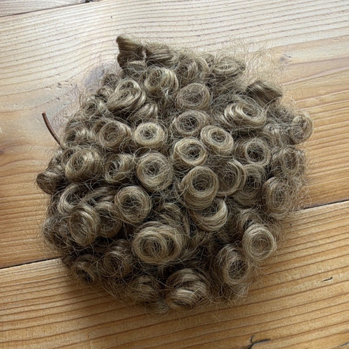 Irish dance bun - irish,
