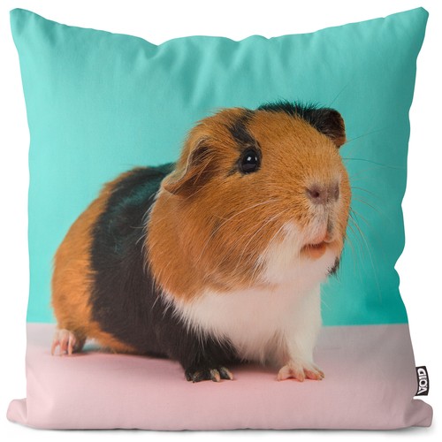 Guinea pig pink cushion cover - guinea,