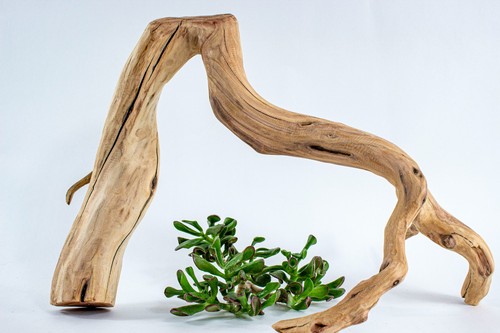Manzanita aquarium driftwood - manzanita,