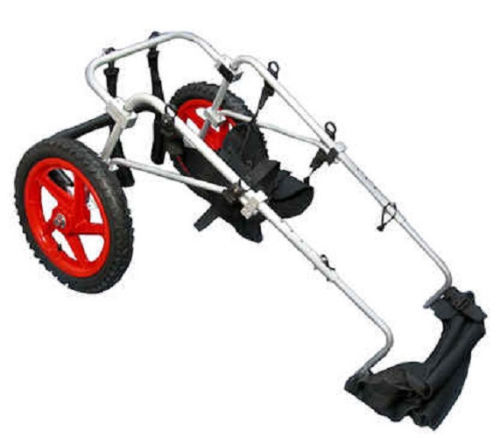 Used best friend mobility - mobility, dog