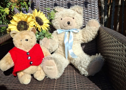Wendy boston bear inches - boston,