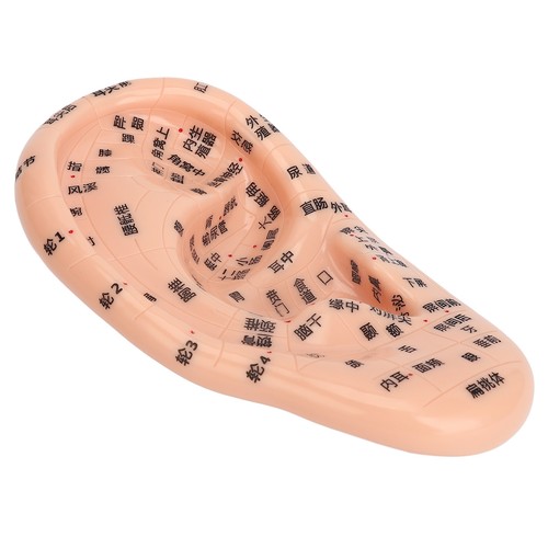 Ear sticker acupuncturen - ear,