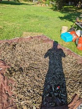 River Find 10+Pounds of scrap lead for fishing sinkers, lures and reloading