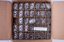 IN-12B Nixie Tubes NEW TESTED NOS xUSSR Excellent Condition 6 PCS SET