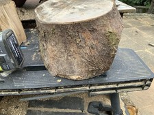 Large Spalted Sycamore Wood