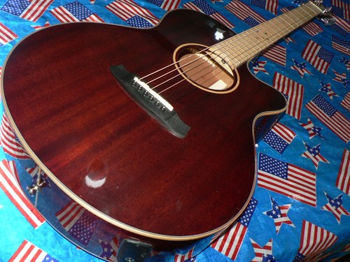 Tanglewood winterleaf tw4 - winterleaf,