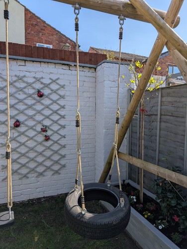 Tire swing kids - tire,
