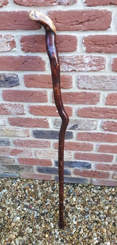 Blackthorn walking stick - walking,