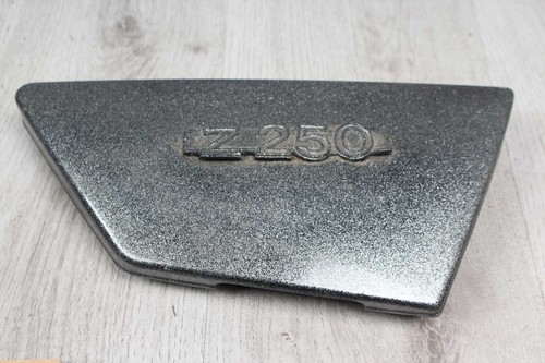 Front right fairing - side, panel
