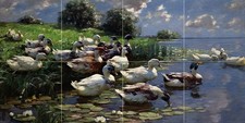 DUCKS ON A LAKE SHORE A