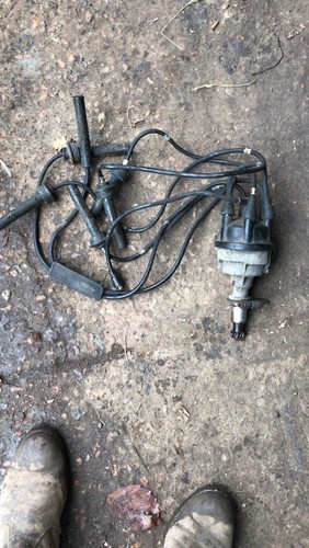 Jaguar xjs distributor - 3.6,