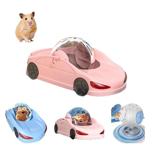 Hamster exercise ball sports - hamster,
