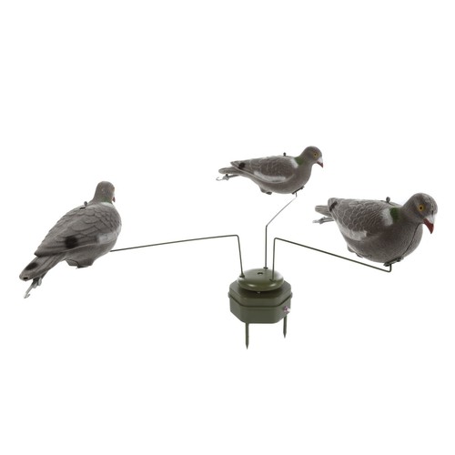 Triple play pigeon - 3, decoy