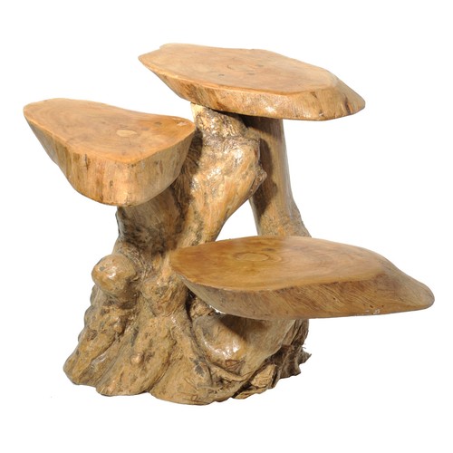30cm teak root - root, wood