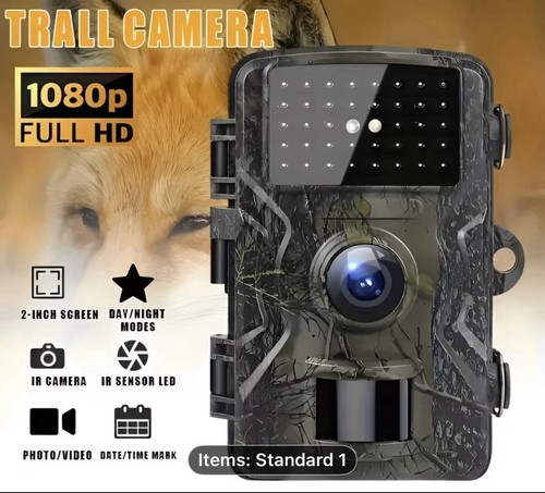 Trail camera wildlife night - hd,