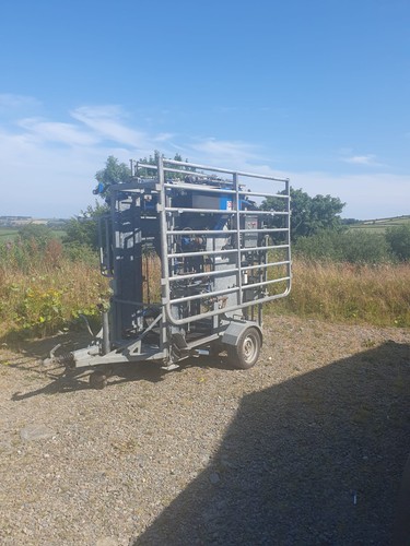 Cattle foot trimming - trimming, crush