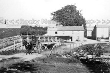 huu-27 Pony and Trap, Caldbeck, Wigton, Cumbria. Photo