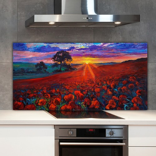Kitchen splashback toughened - kitchen,