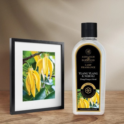 Ashleigh and burwood - and, ylang