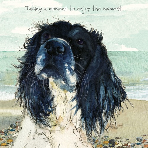 Little dog laughed - little,