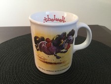 Collectable Vintage 1997 Greys Thelwell Club Mug - Norman Thelwell Ponies