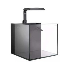 Maxspect Dice AIO Nano