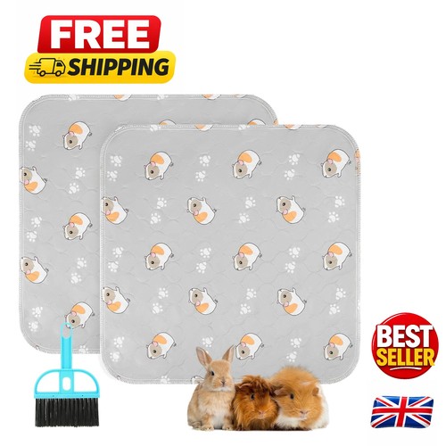 Reusable guinea pig cage - guinea,