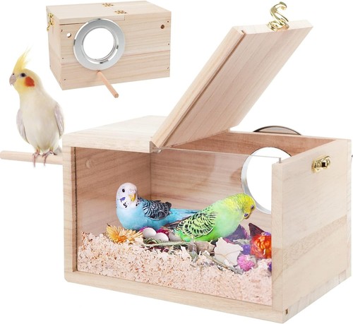 Rypet parakeet nesting - parakeet,