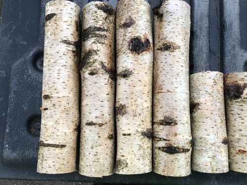 Decor logs box - 1,