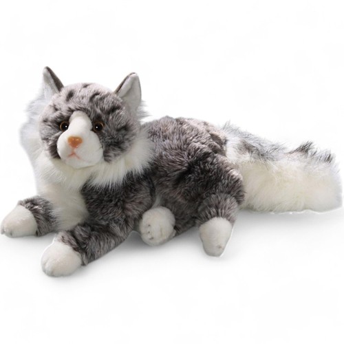Carl dick cat maine - carl,
