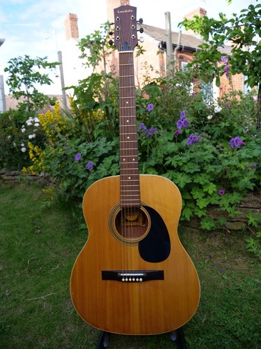 Landola acoustic guitar - landola, f6