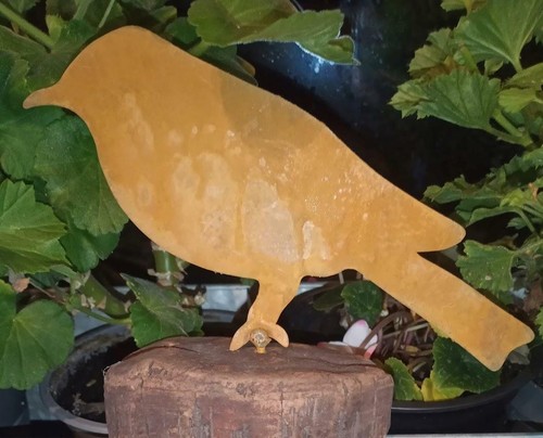 Galloway cut outs rusty - outs,