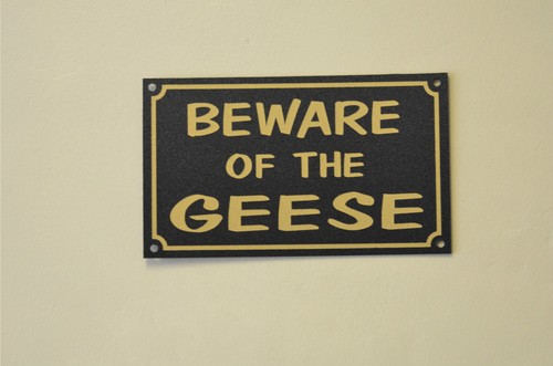 Beware the geese sign - the,