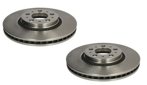 Rear brake discs pair - rear,