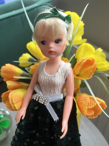 Vintage pedigree short hair - vintage,
