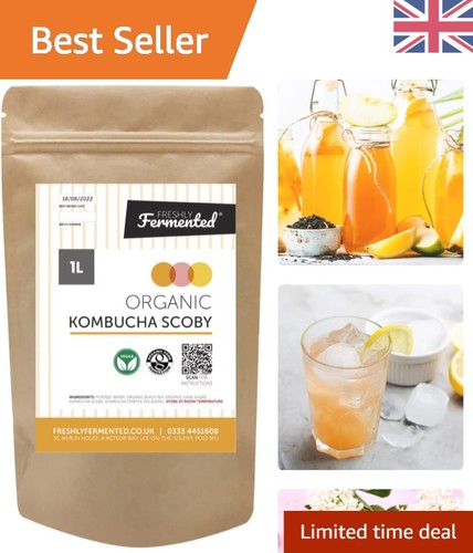 Organic kombucha scoby 1 - organic,