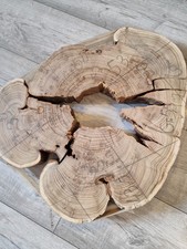 Acacia Live Edge Slab 53cm