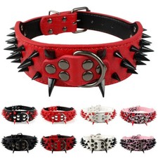 5cm Wide Spiked Studded