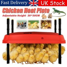 Adjust Chick Brooder Heating