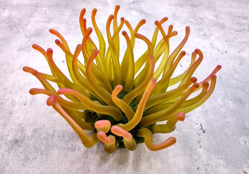 Aqua orange faux anemone - aqua,