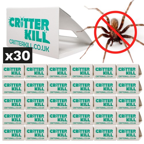Spider glue traps safe - traps,