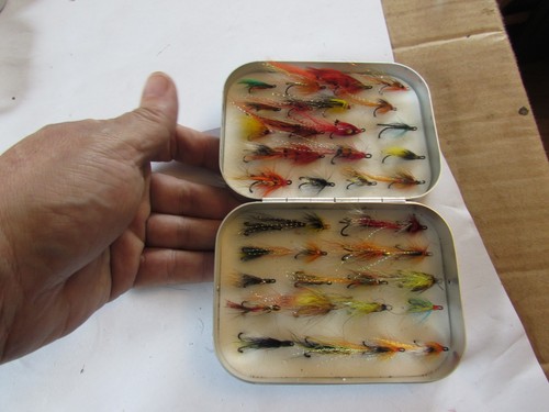 Mixed salmon smaller double - mixed,
