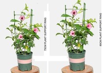 NEW GARDEN PLANT SUPPORT RING CONICAL DESIGN POTS SUPPORT FLOWERS STALK