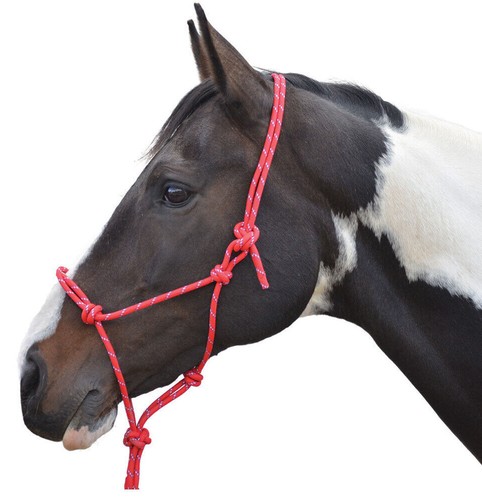 Equestrian rope halter - equestrian,