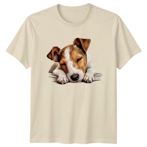 Jack russell terrier - jack,